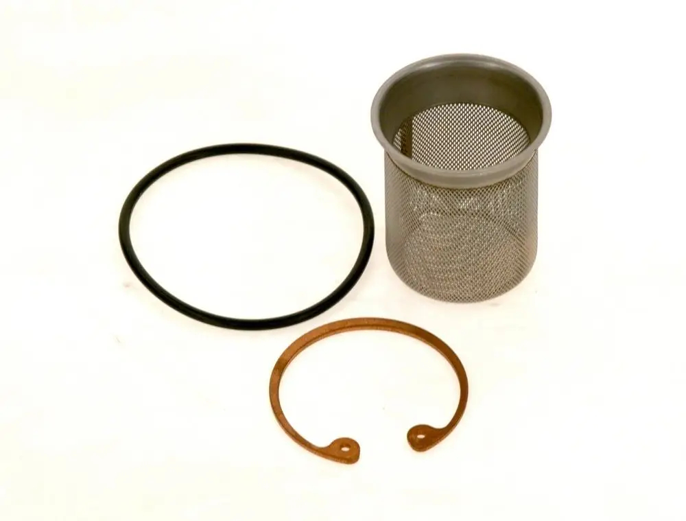 BOSCH Sieb aus Metall mit feinem Gitter, umgeben von einer schwarzen O-Ring-Dichtung und einer bronzefarbenen Halterung, auf einem hellen Hintergrund.